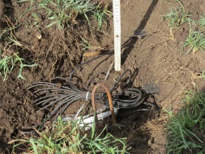 Soil moisture sensor installation