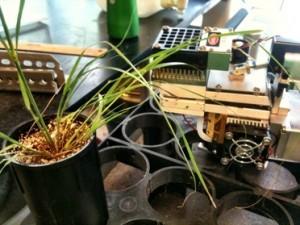 Photosynthesis measurements in the lab   