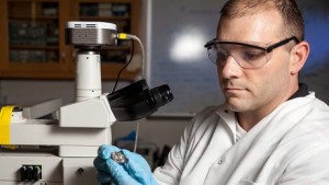 Jason Gagliano, a biology graduate student, works in a Wake Forest lab.