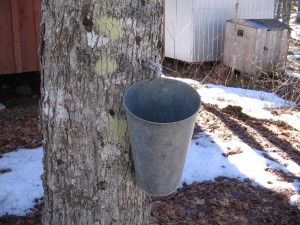 Sugaring