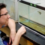 burnette studies archerfish