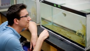 burnette studies archerfish