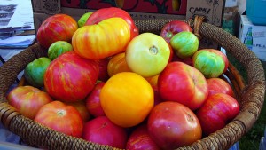 Capay_heirloom_tomatoes_at_Slow_Food_Nation