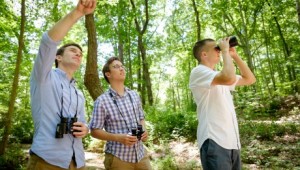 Fuxjager, Schuppe, Petersen in field study